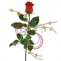 Портфолио nancy